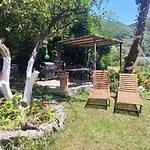 Ferienhaus Leena *