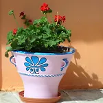 Leena Paramonas (Corfu)