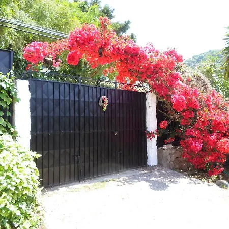 莉娜度假屋 度假居