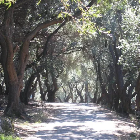 莉娜度假屋 度假居 *