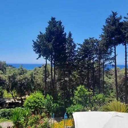 Leena Case de vacanță *