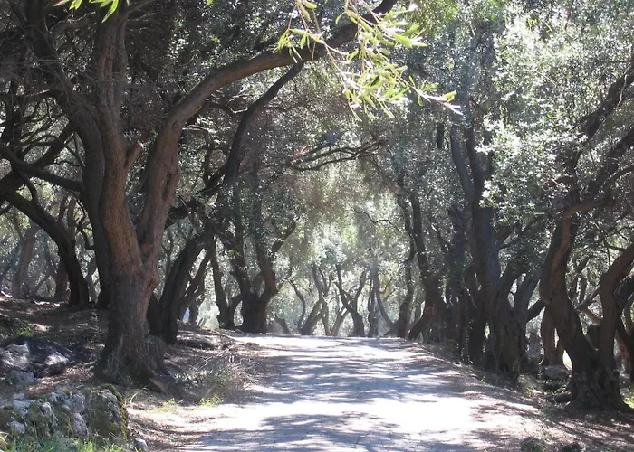 Leena Vakantiehuis *